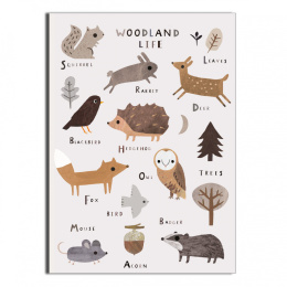 Plakat Woodland Life