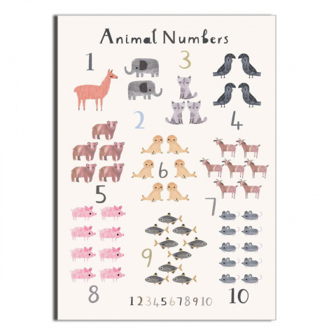 Plakat Animal Numbers